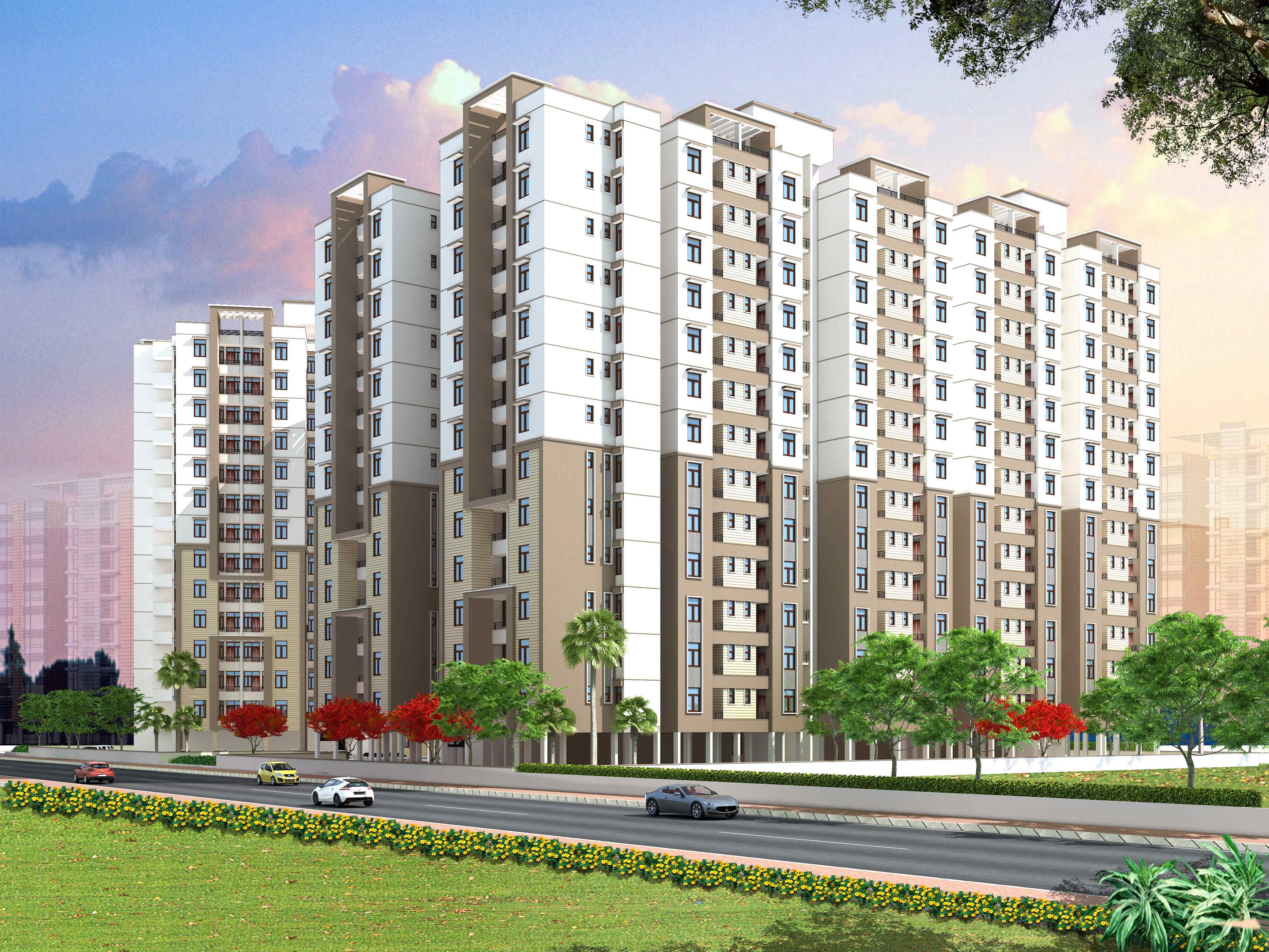 Elevation Image 6